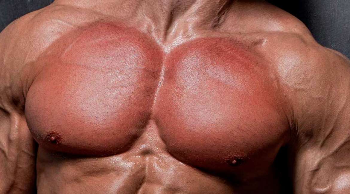 Comment avoir des pectoraux rapidement sans matériel ?