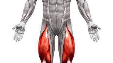 Comment muscler les cuisses d&rsquo;un homme sans matériel ?