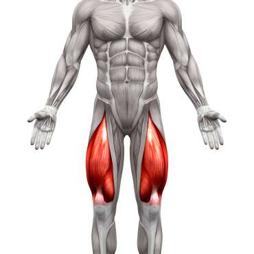 muscler les cuisses homme sans materiel