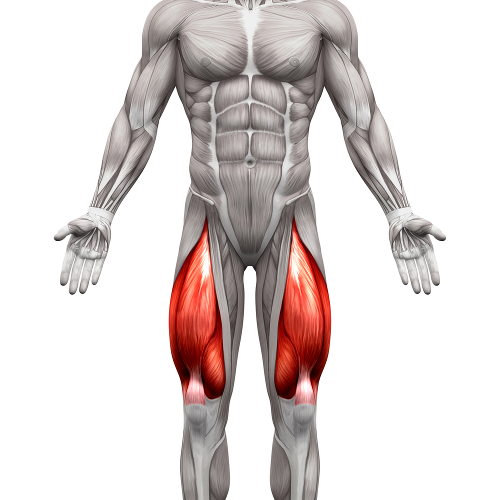 Comment muscler les cuisses d&rsquo;un homme sans matériel ?